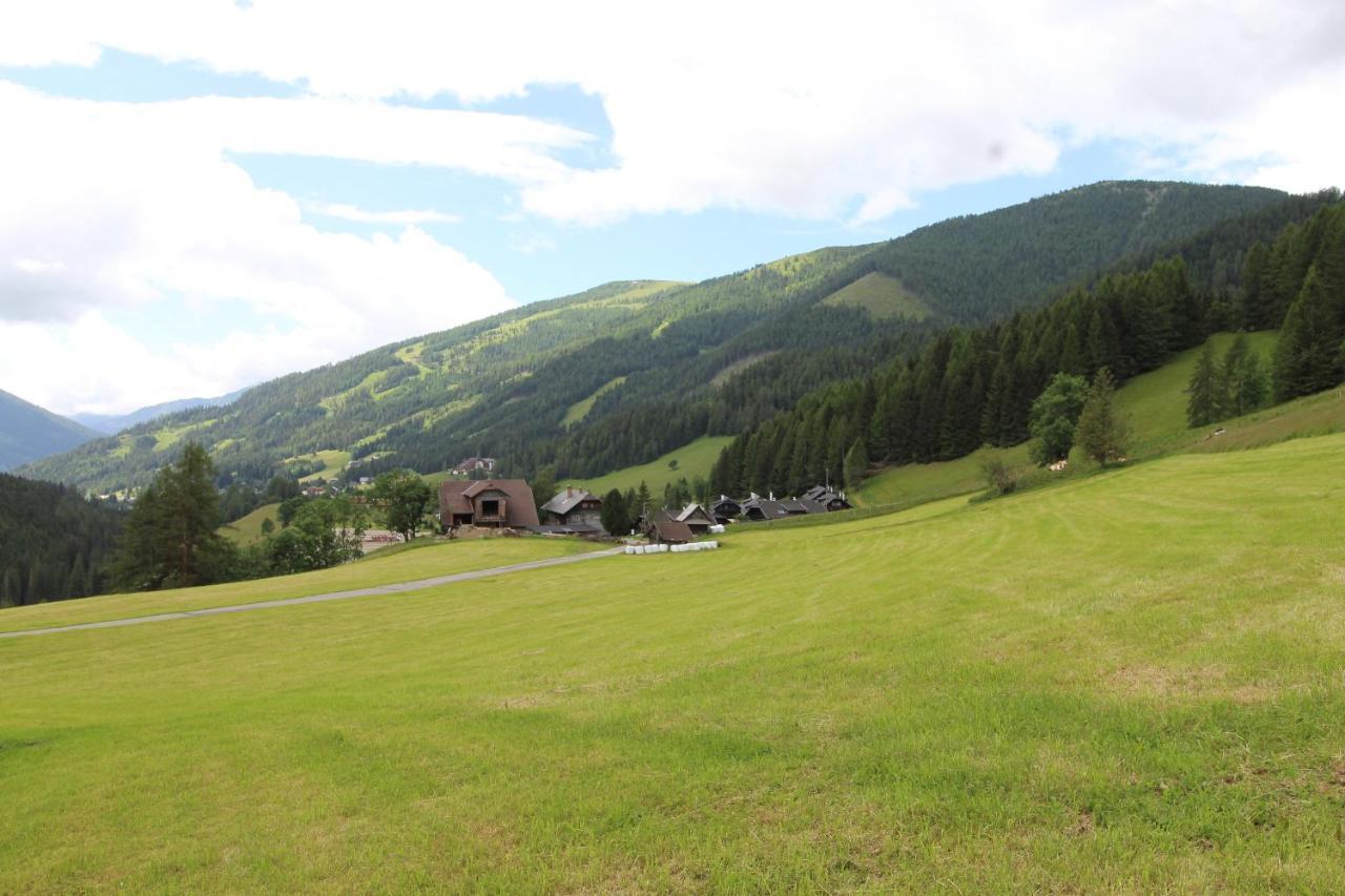 Chalet Mallnock Διαμέρισμα Bad Kleinkirchheim Εξωτερικό φωτογραφία